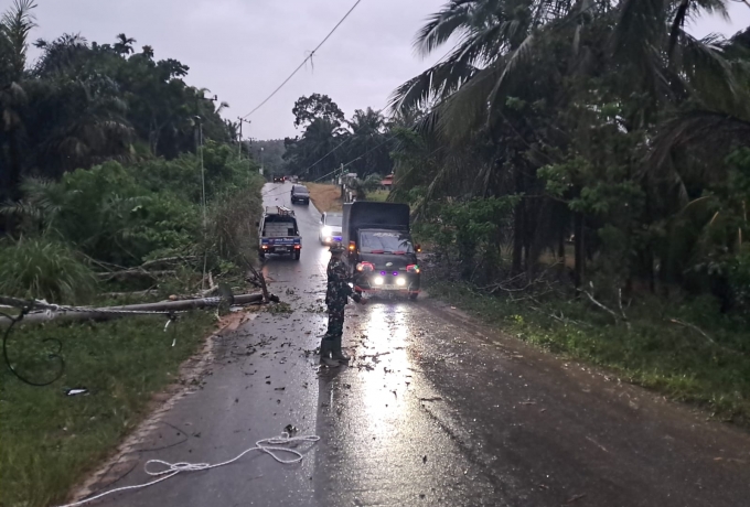 Babinsa Bersama Warga dan PLN Gotong Royong Evakuasi Tiang Listrik Tumbang di Rokan Timur