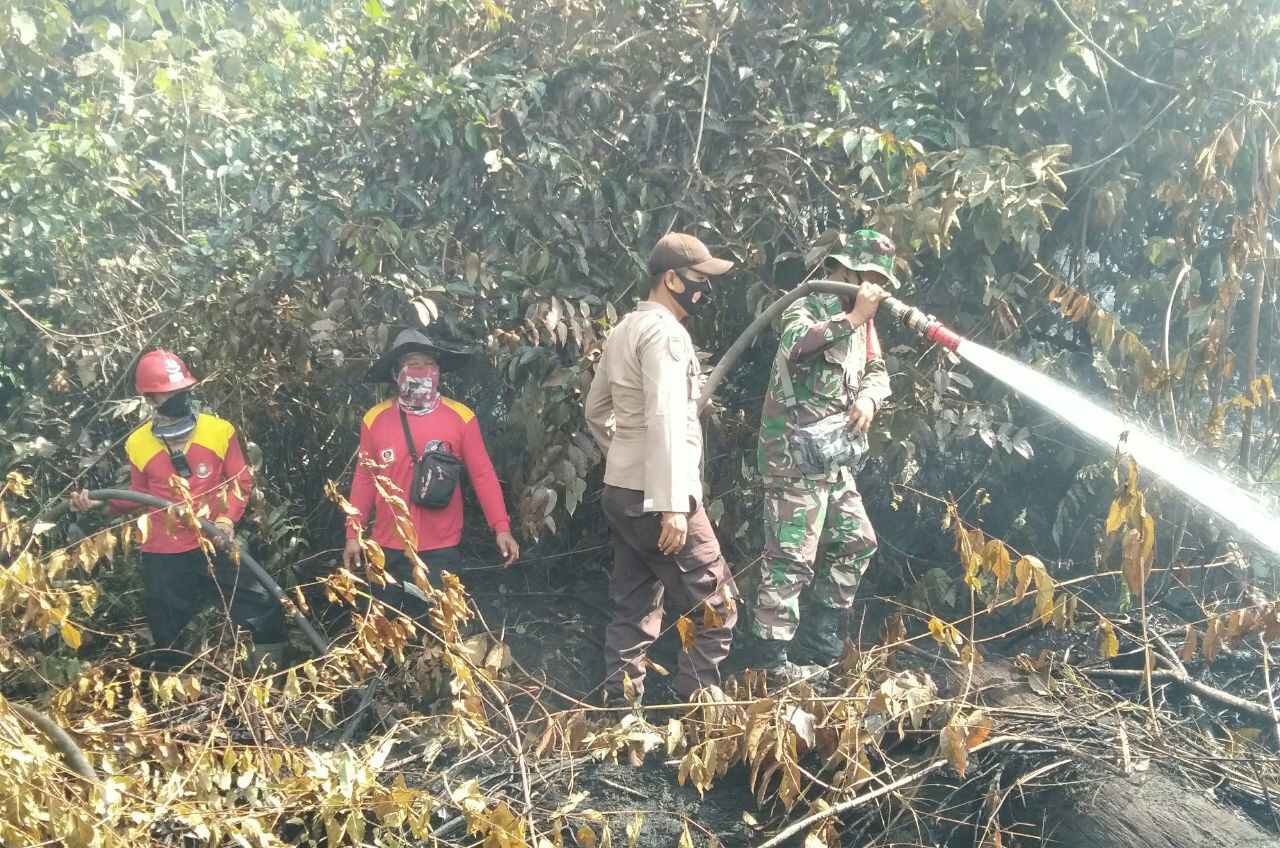 TNI Polri Bersama Masyarakat Berjibaku Padamkan Api Kebakaran Lahan Gambut