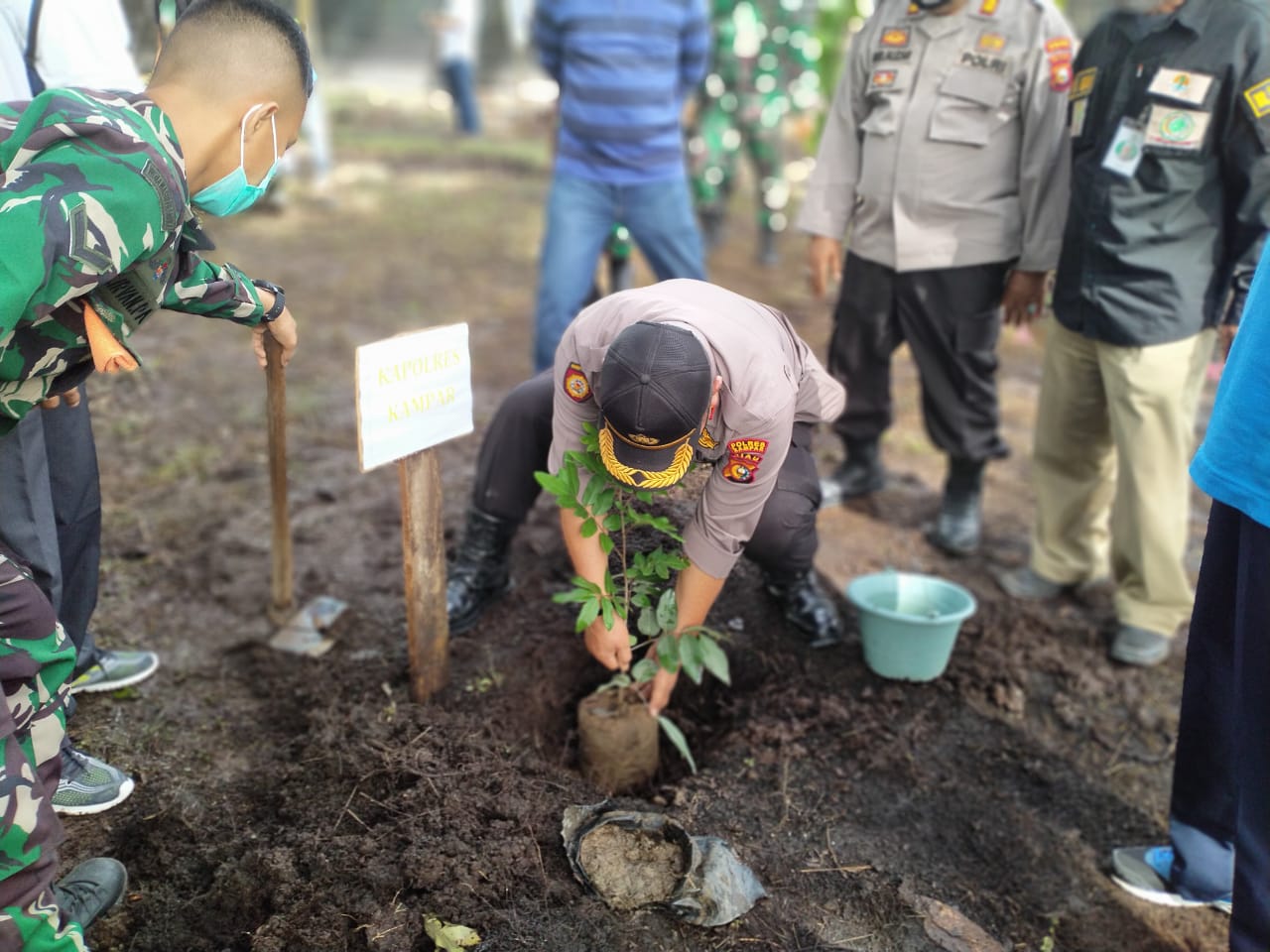 Polsek Tapung Bersama Tni dan Masyarakat Tanam Pohon, Dalam Rangka Hari menanam Pohon Nasional
