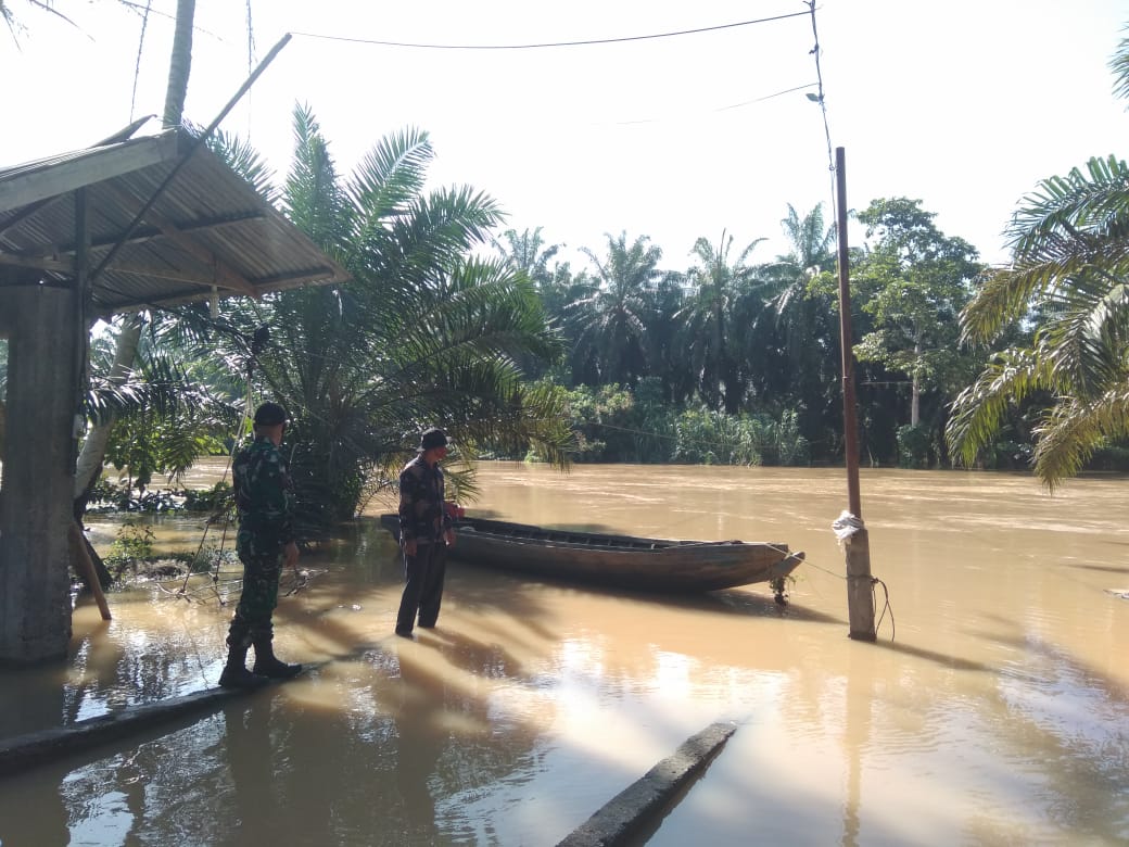 Antisipasi Banjir Kiriman Babinsa Lakukan Pemantauan Debit Air Sungai Batang Sosah