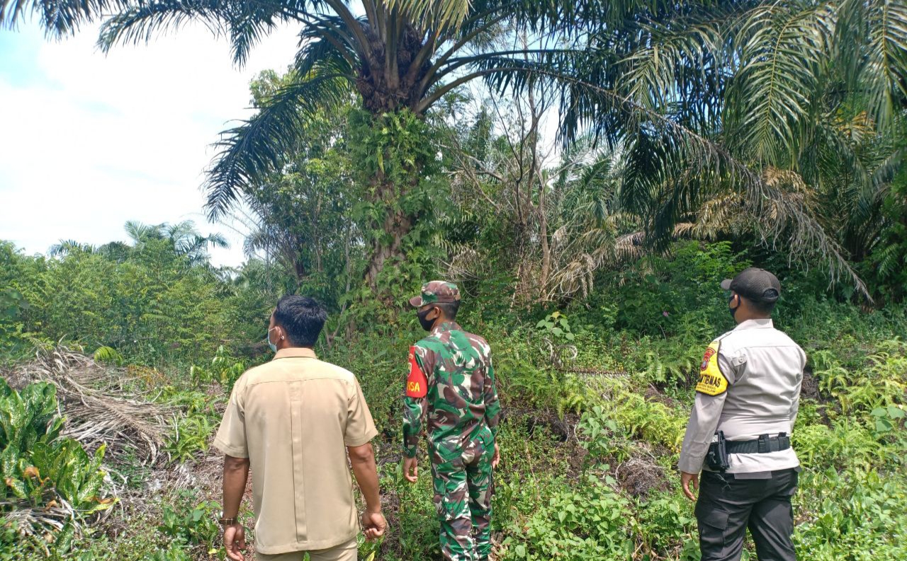 Kopda Jantri Istani, Patroli ini Untuk Mencegah Rawan Karhutla