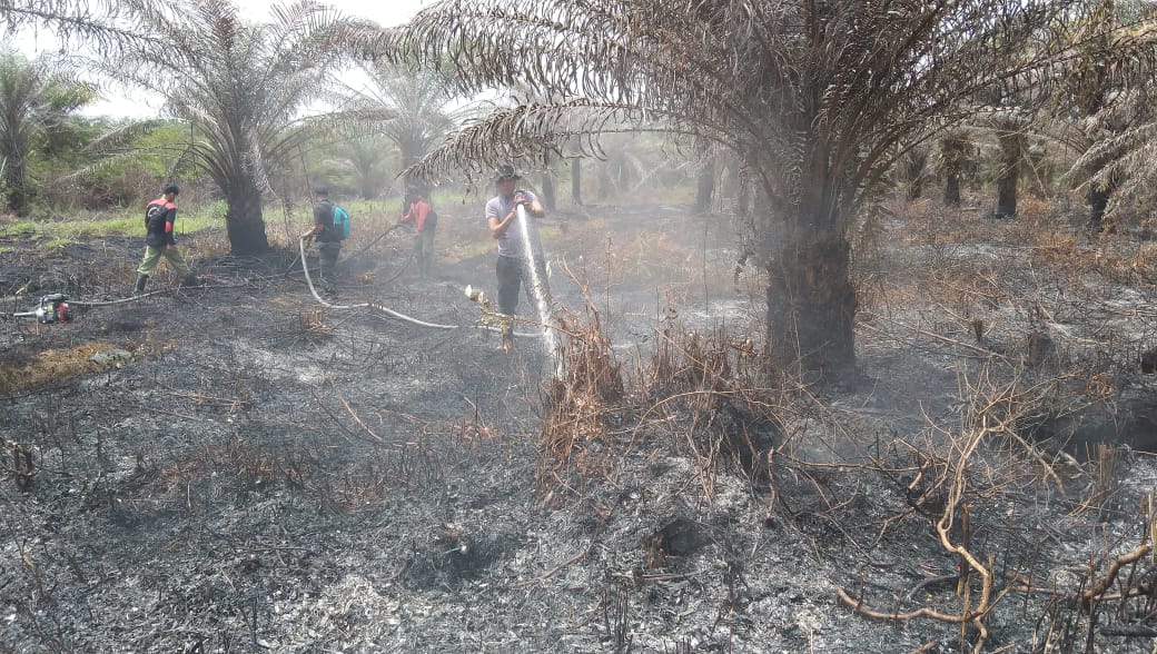 Temukan Kebakaran Lahan Saat Patroli, Bhabinkamtibmas dan MPA Karya Indah Lakukan Pemadaman