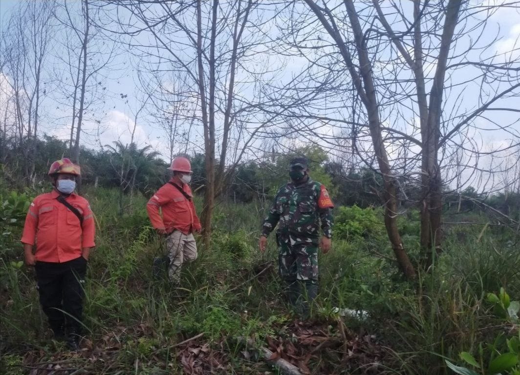 Antisipasi Karhutla,Babinsa Koramil 04/PKL Kuras Rutin Lakukan Patroli