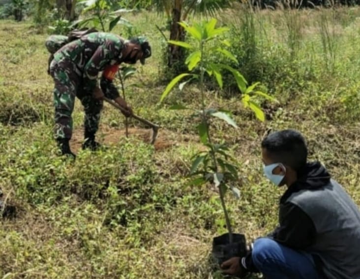 Menanam Pohon Salah Satu Upaya Babinsa Guna Menjaga Keindahan Lingkungan Dan Mengurangi Polusi Udara