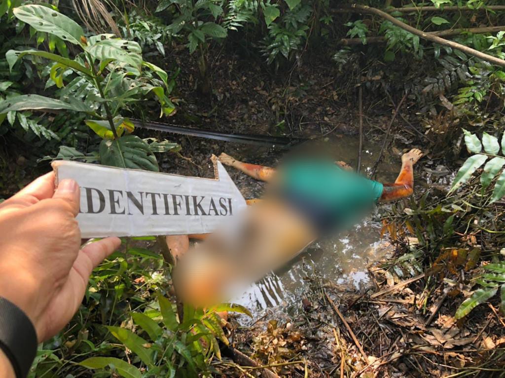 Warga Digegerkan dengan Penemuan Mayat Wanita Tanpa Identitas di Kebun Sawit