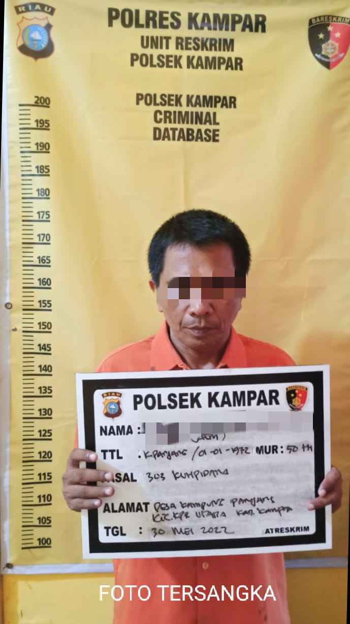 Pelaku Judi Online Sydney di Ringkus Polsek Kampar di Warung Kopi
