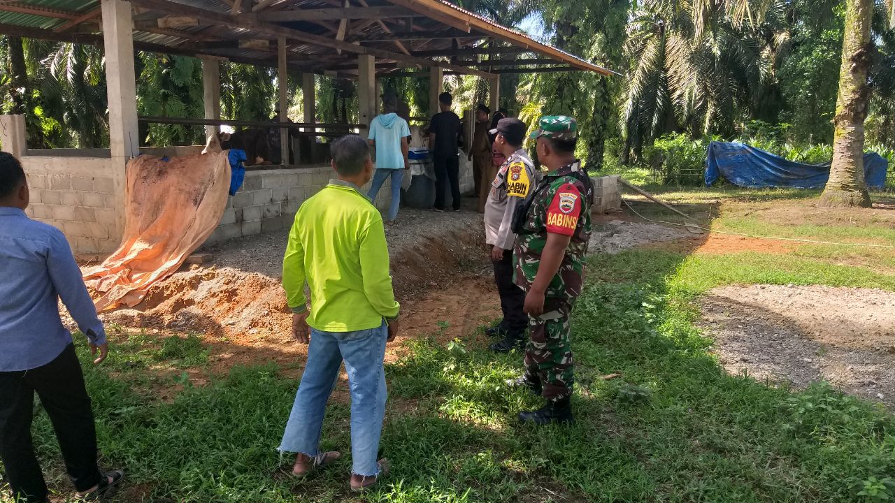 TNI Polri Dampingi Pencegahan PMK di Kabupaten Rokan Hulu