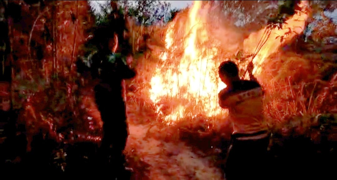 50 Hektar Karlahut di Kabupaten Rokan Hulu Riau Terbakar