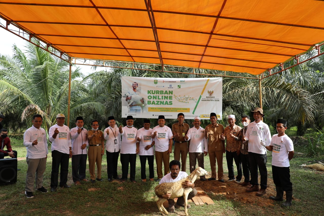 Baznas Kabupaten Siak Terima 100 Ekor Domba Dari Baznas Pusat