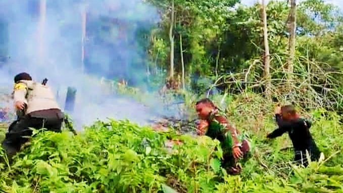 Karhutla Kembali Terjadi di Rokan Hulu Riau, Petugas Gabungan Padamkan Api Dengan Rating Pohon
