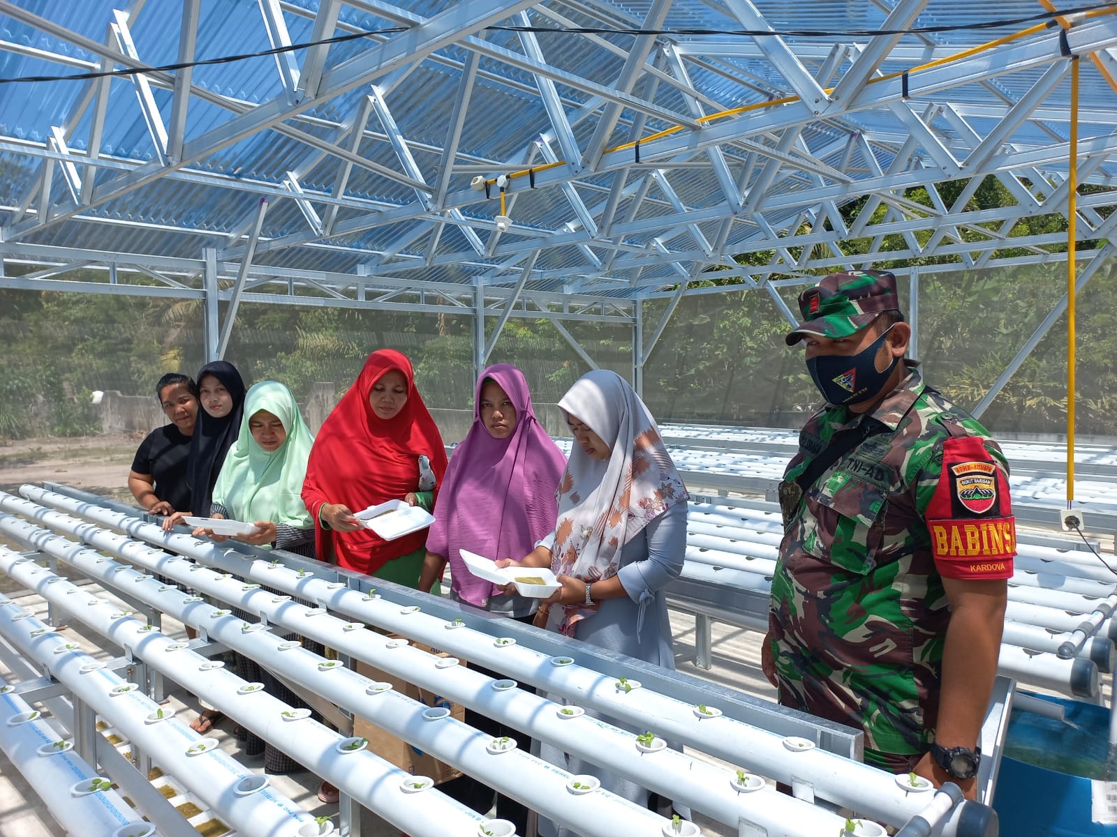 Beri Motivasi, Babinsa Koramil 11/Tambusai Dampingi Ibu - Ibu PKK Mengelola Tanaman Hidroponik  