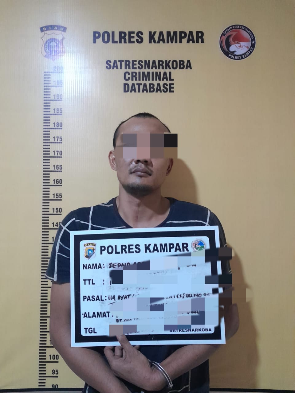 Tim Ojoloyo Satnarkoba Polres Kampar Ringkus Pelaku Narkoba di Kebun Kelapa Sawit