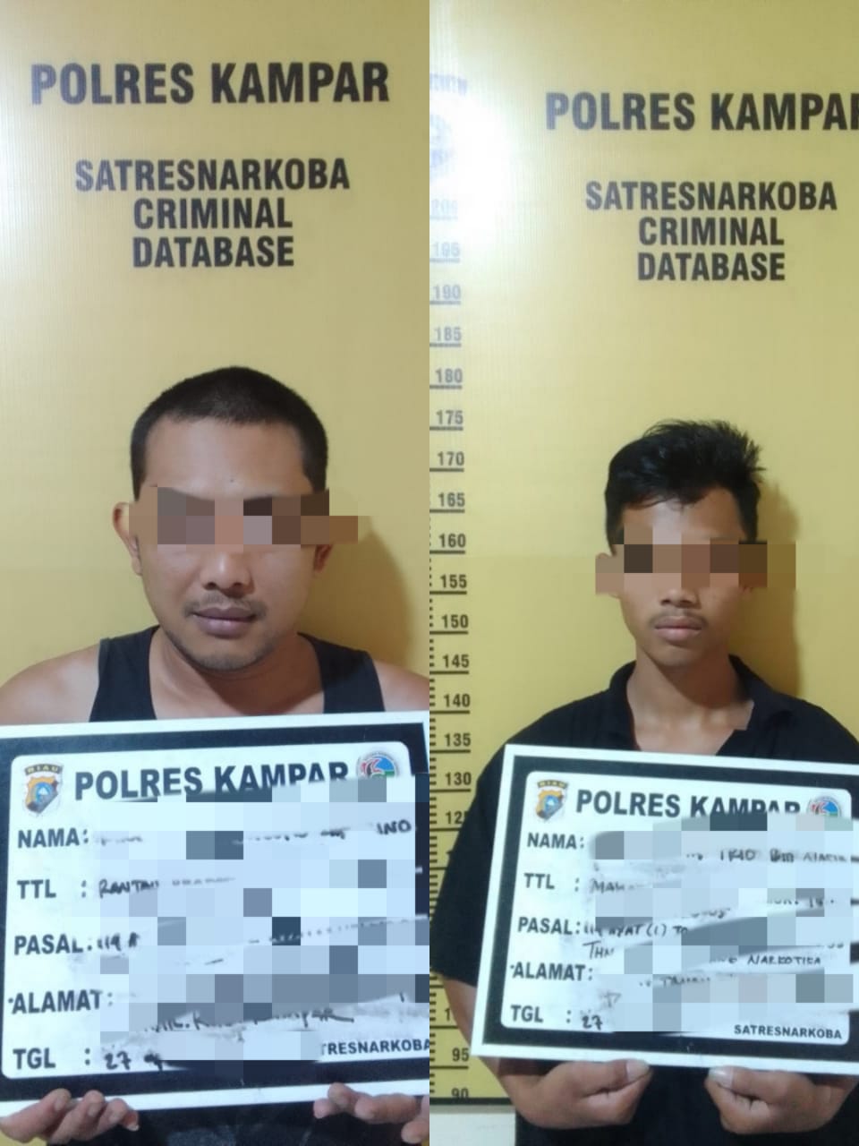 Dua Pelaku Narkoba di Tanah Tinggi di Ringkus Satnarkoba Polres Kampar