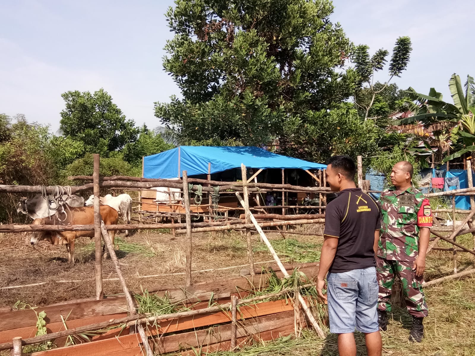 Jelang Hari Raya Qurban, Babinsa Kembali Sosialisasikan PMK Kepada Peternak Sapi di Desa Binaan 