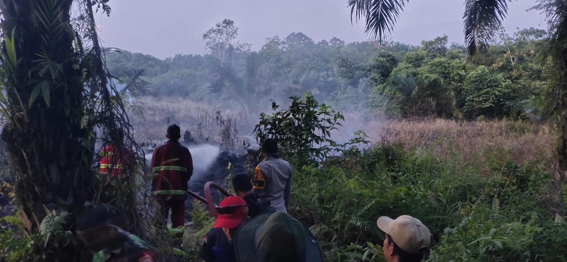 Gerak Cepat, Petugas Gabungan Padamkan Kebakaran Lahan Semak Belukar di Kampar