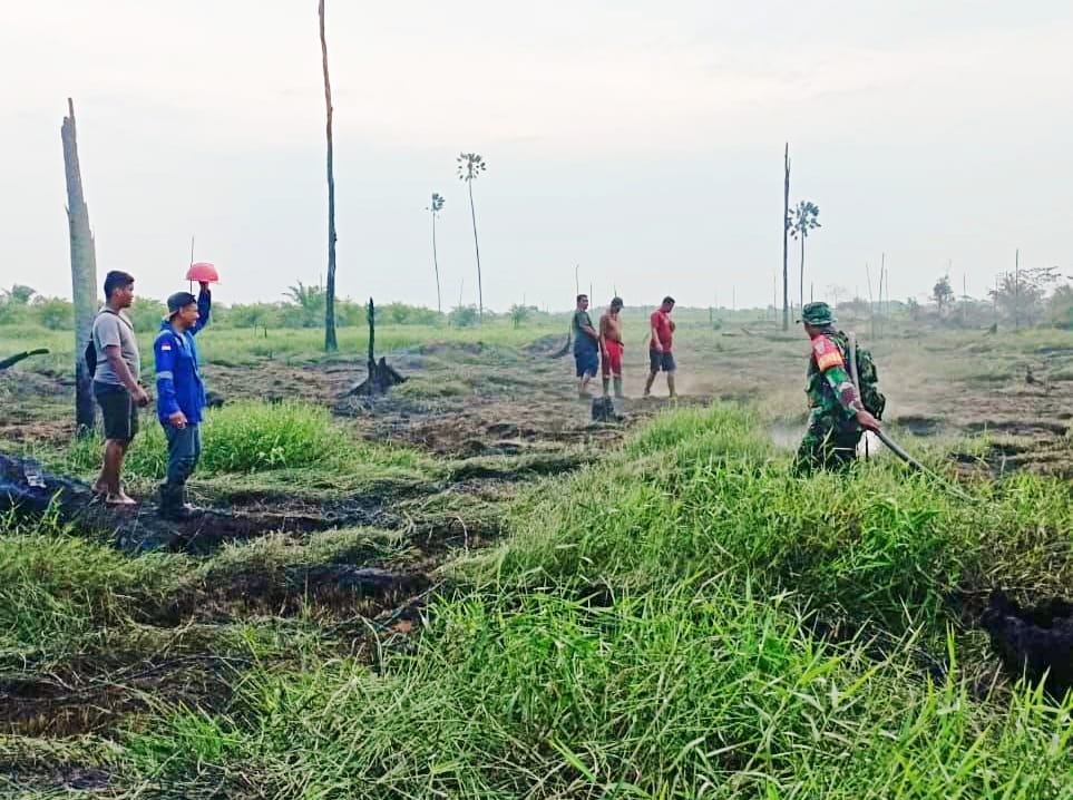 Penampakan Karhutla di Rawa Betung Kabupaten Rokan Hulu Riau, Petugas Gabungan Padamkan Api