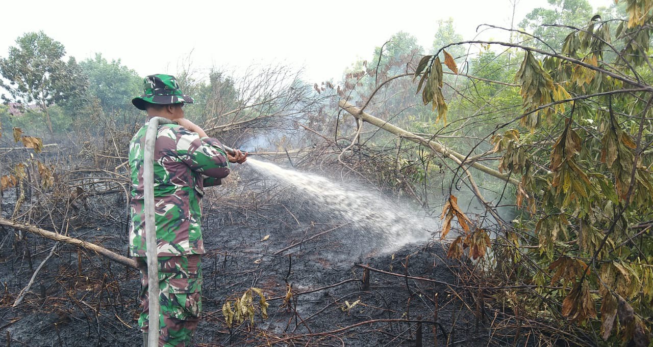Kebakaran Lahan, Babinsa Koramil 07/Kampar Lakukan Pemadaman Api