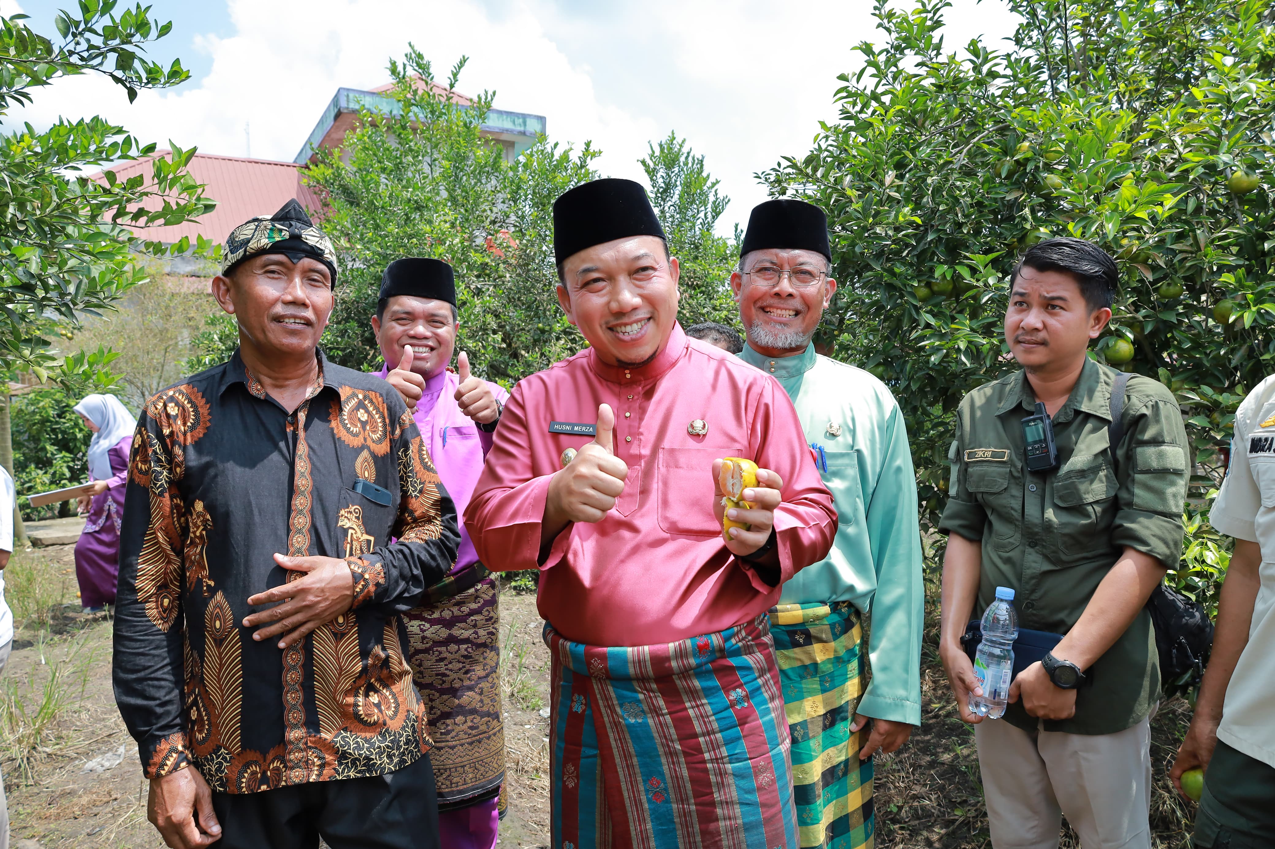 Wabup Husni, Kerja Keras Pak Sobihin Jadi Motivasi Tanam Jeruk Menjajikan