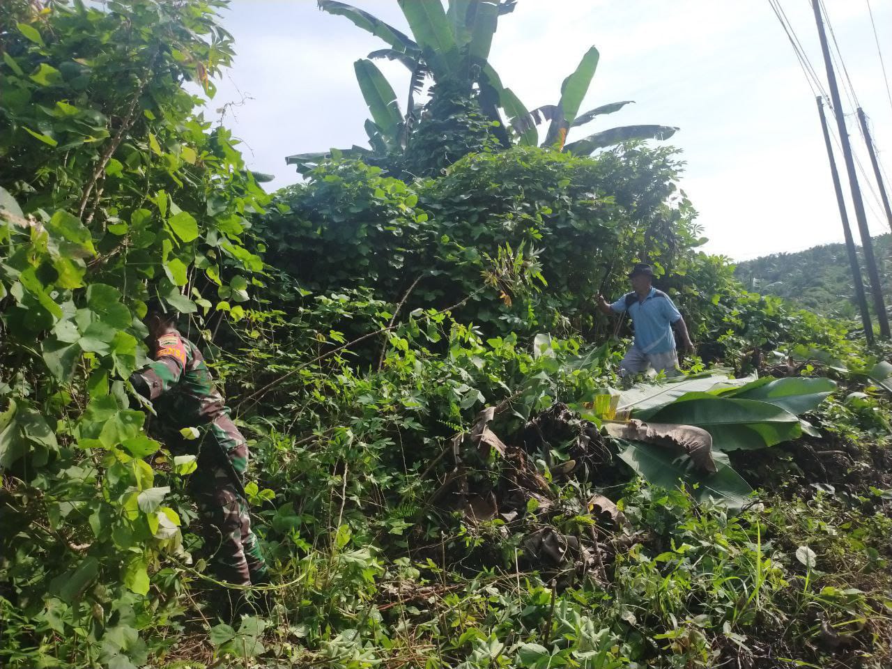 Gotong Royong, Bentuk Kepedulian Babinsa Koramil 16/Tapung Bersama Warga Terhadap Lingkungan