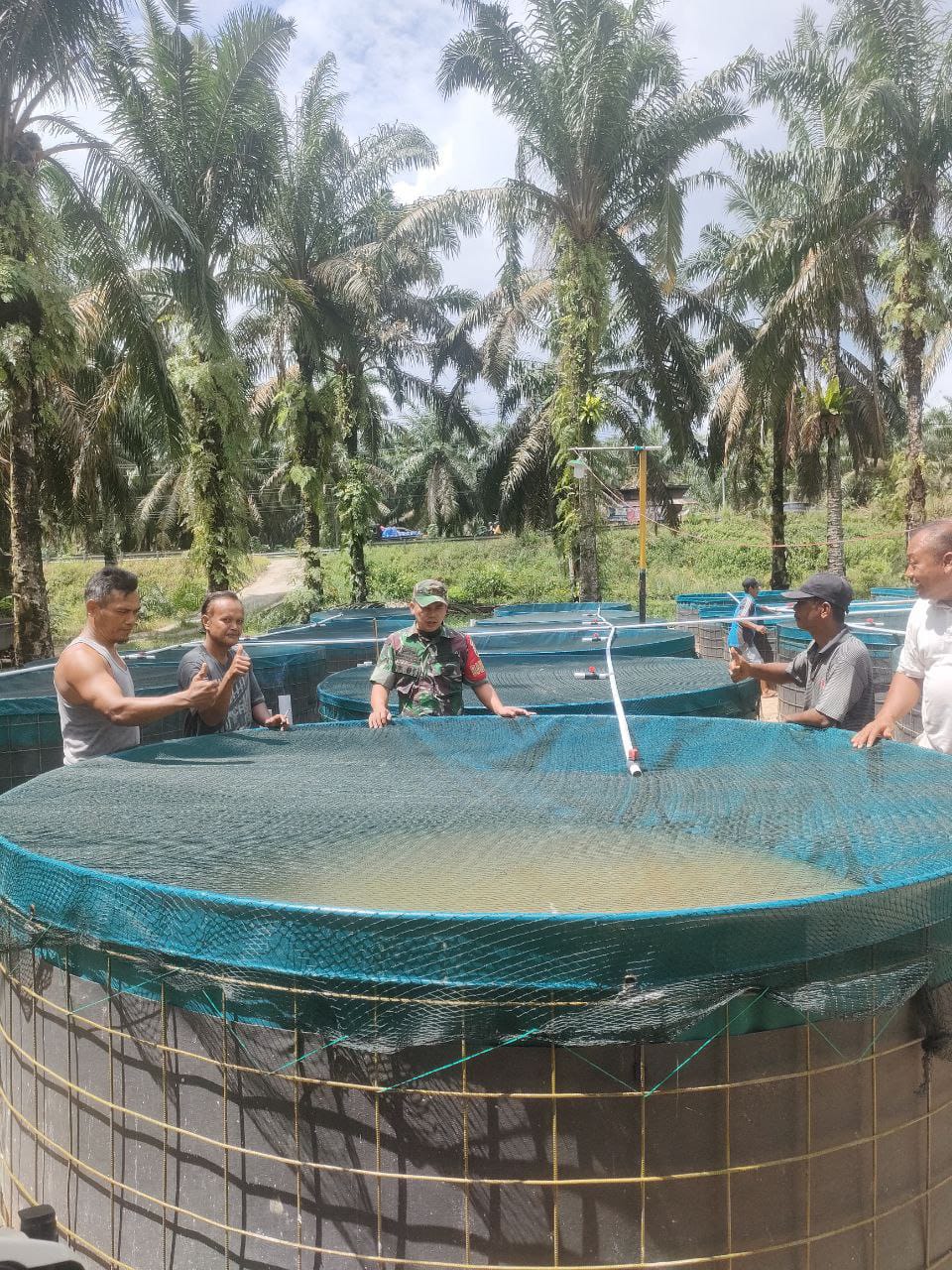 Babinsa Koramil 08/Tandun, Dampingi Kelompok Pembudidayaan Perikanan Dengan Sistem Bioflok