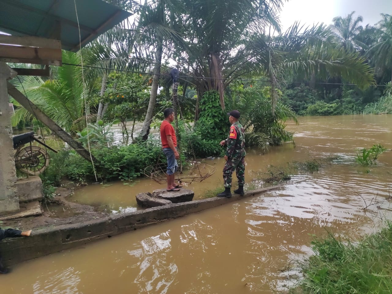 Tingginya Curah Hujan Babinsa Pantau Ketinggian Air Di Bantaran Sungai Batang Sosah