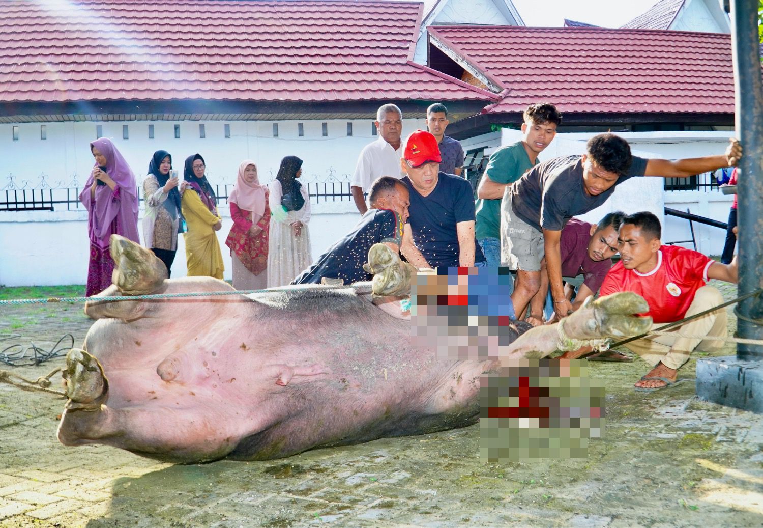 Sembelih Sendiri Hewan Qurbannya, Pj Bupati Kampar, Sebagai Bentuk Ketaatan Hamba Kepada Allah SWT