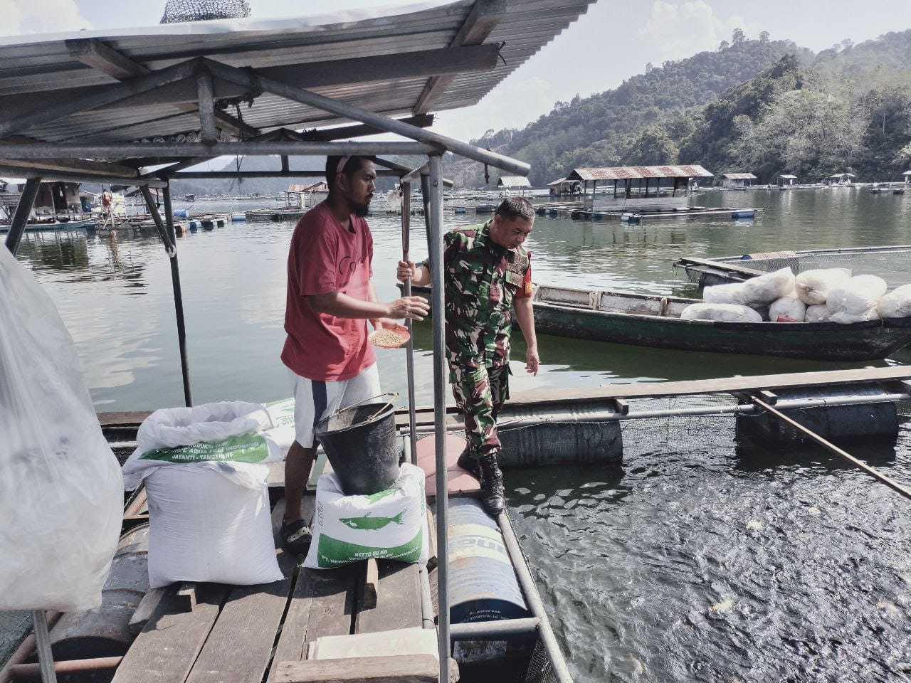 Monitor Wilayah, Babinsa Koramil 01/Bkn Sambangi Budi Daya Ikan Keramba di Desa Binaan 