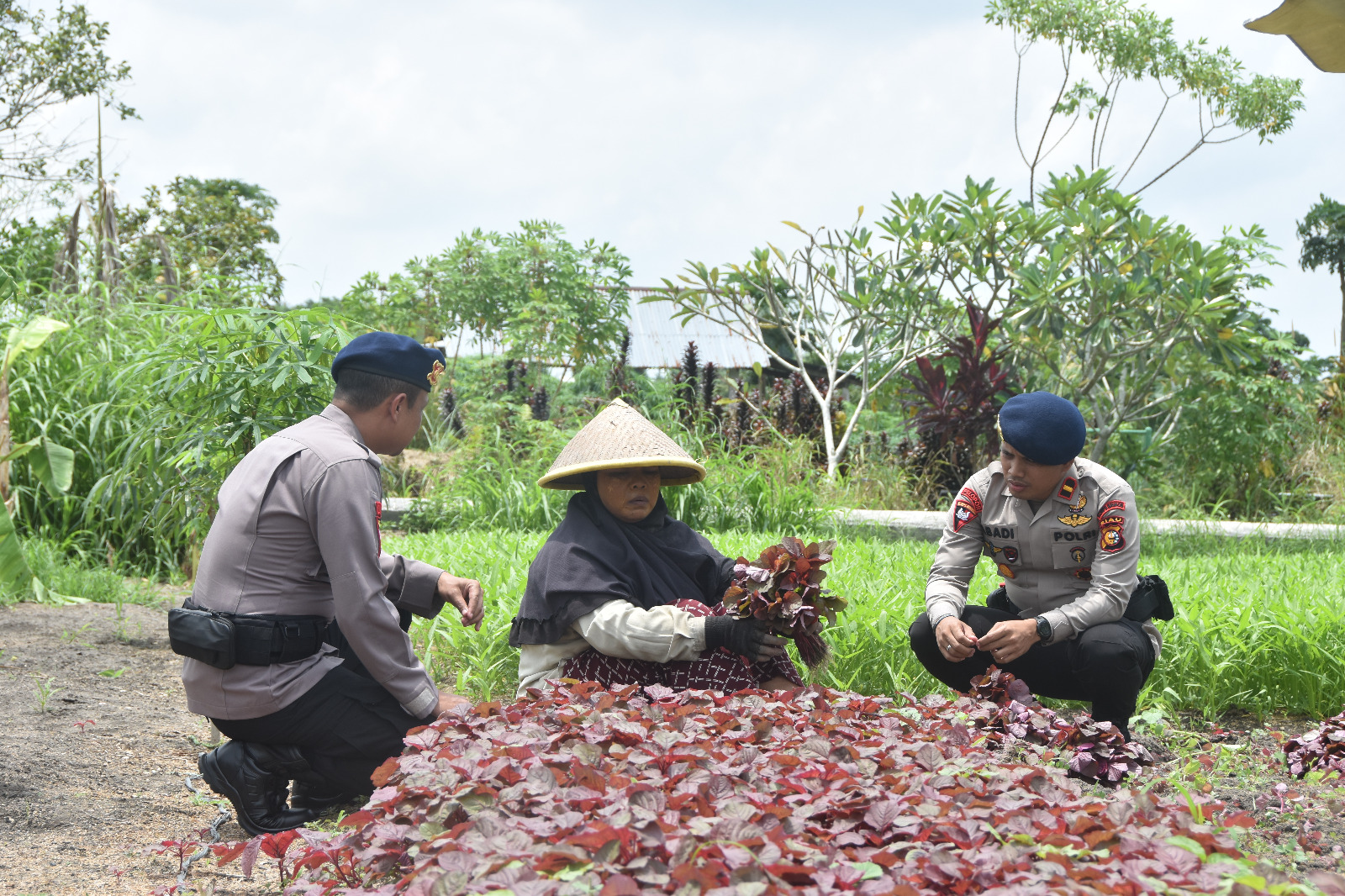 Brimob Polda Riau lakukan Patroli Dialogis ke Petani Sayuran