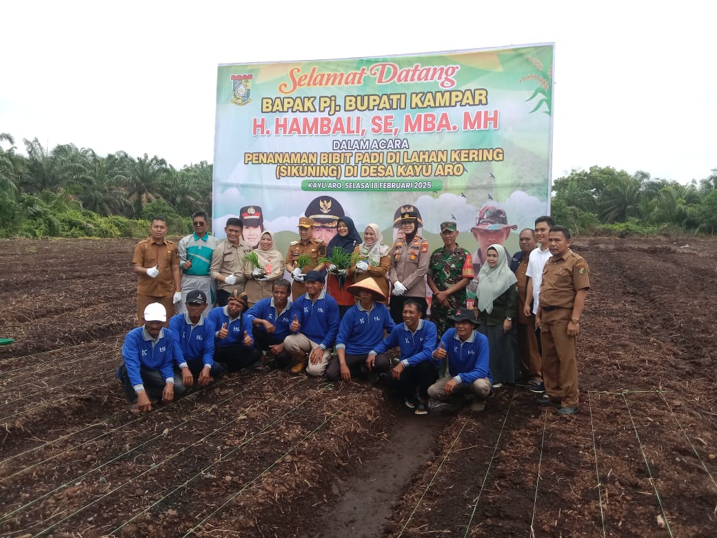 Kegiatan Ketahanan Pangan Tanam Padi Gogo Perdana di Desa Kayu Aro : Meningkatkan Kemandirian Pangan