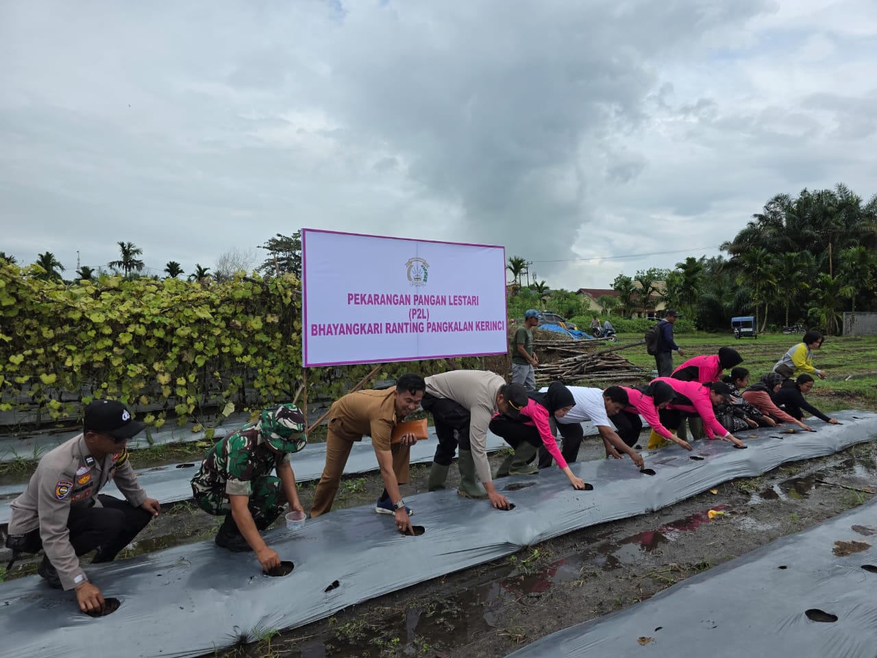 Babinsa 09/ Langgam Melaksanakan Kegiatan Lauching Program Pekarangan Pangan Lestari Dalam Rangka MB