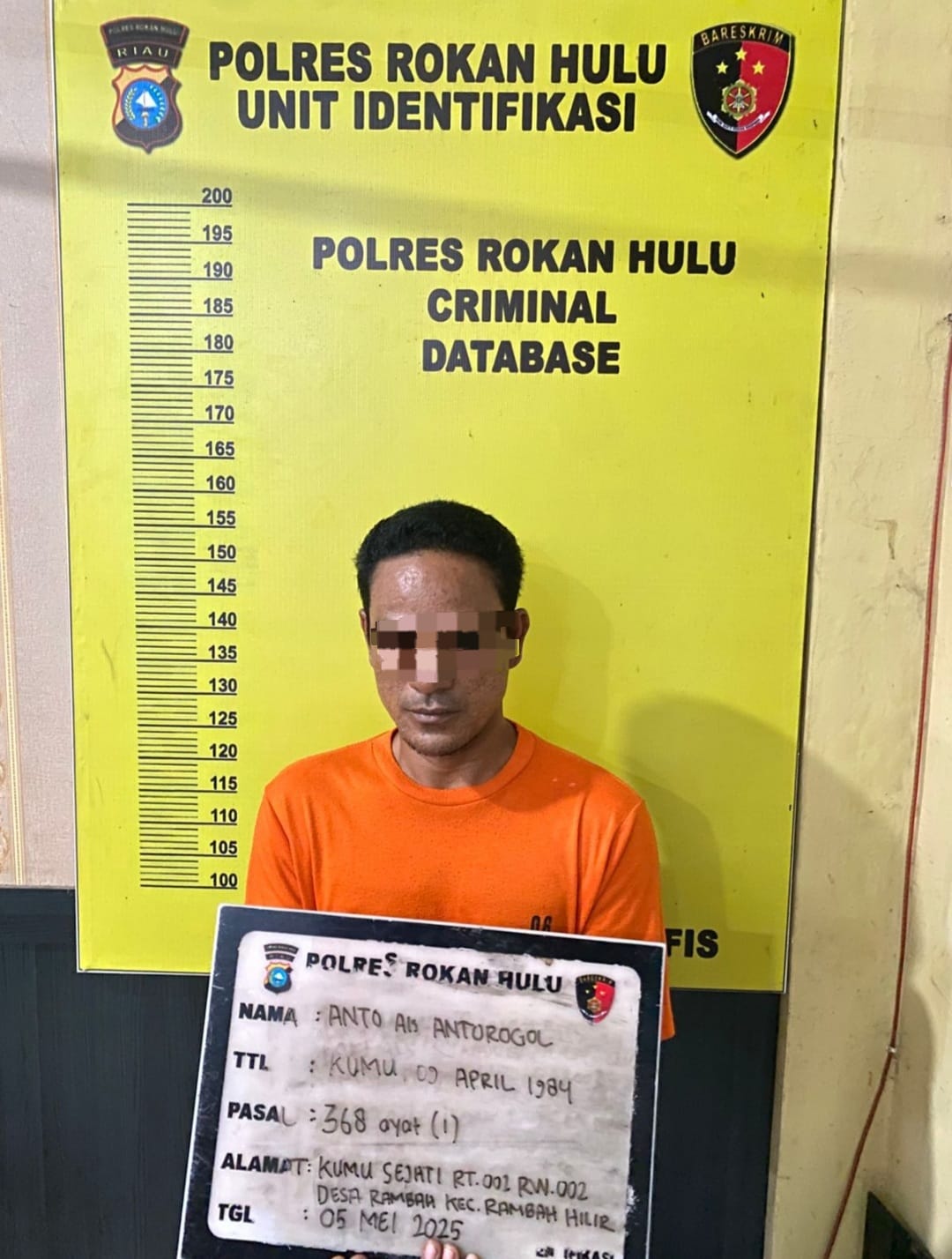 Premanisme di Simpang Kuari Rambah Hilir, Dua Pelaku Pemerasan Supir Kuari Diamankan Polres Rohul