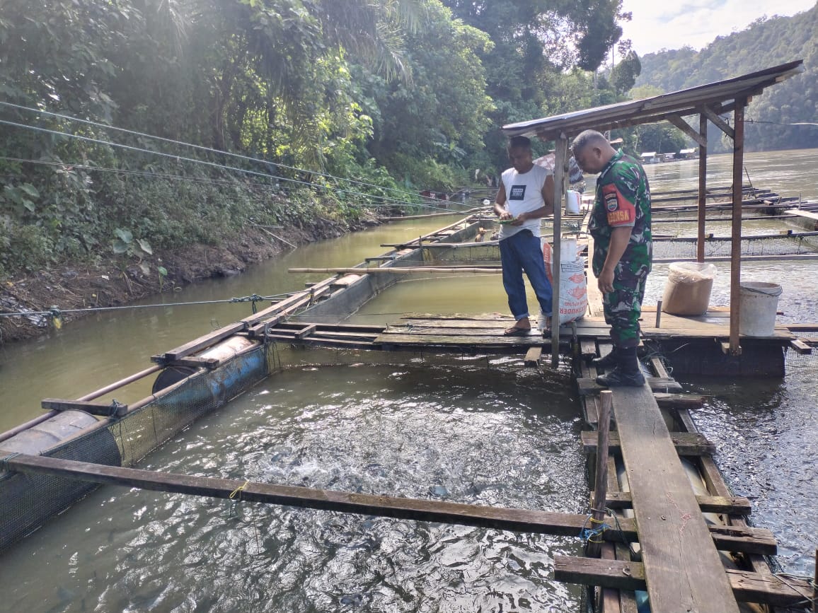 Serka Cipto Wibowo Babinsa Koramil 01/Bkn Komsos Dengan Pemilik Keramba Budidaya Ikan 