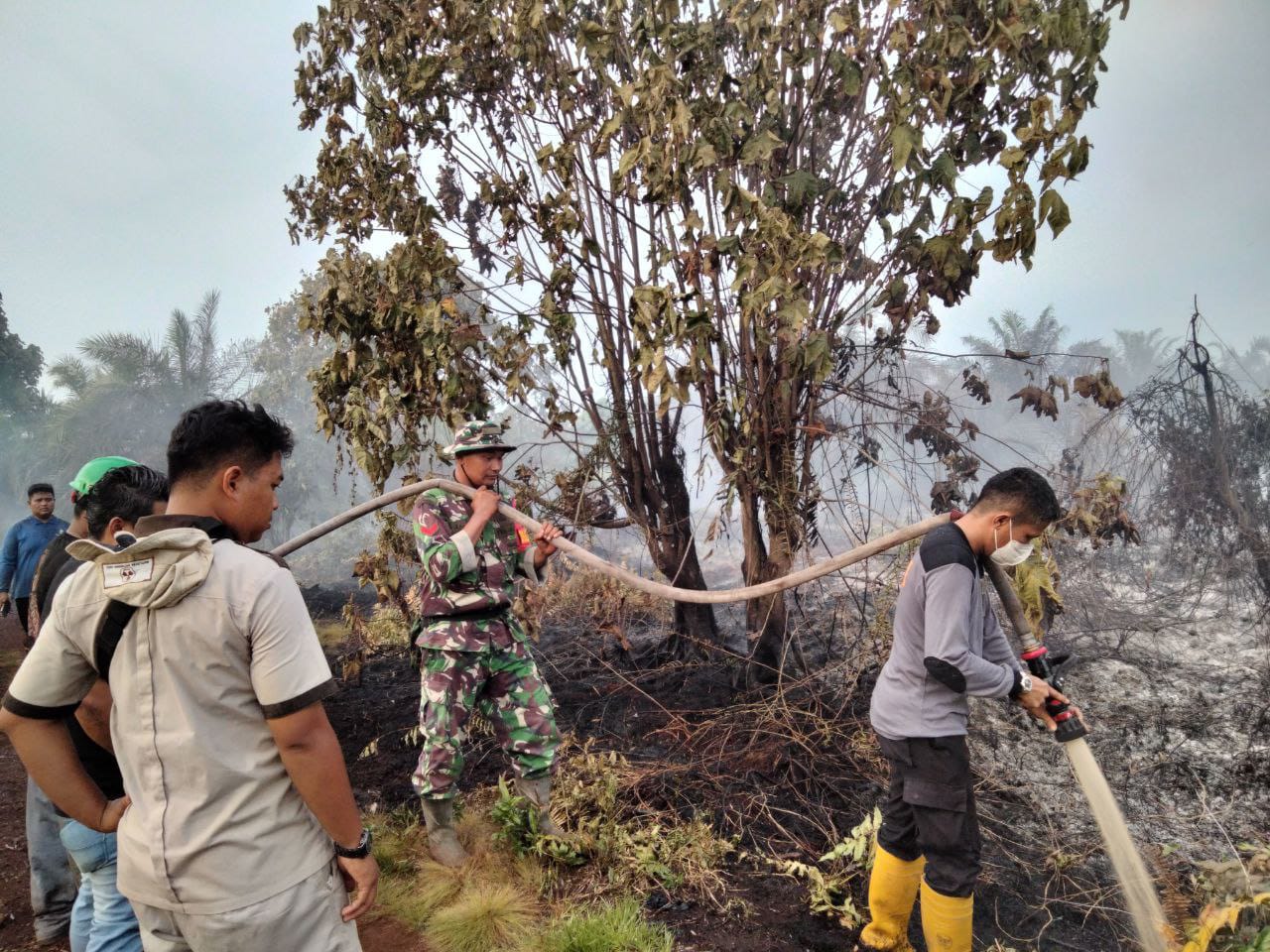 Petugas Gabungan Padamkan Karhutla di Kabupaten Rokan Hulu