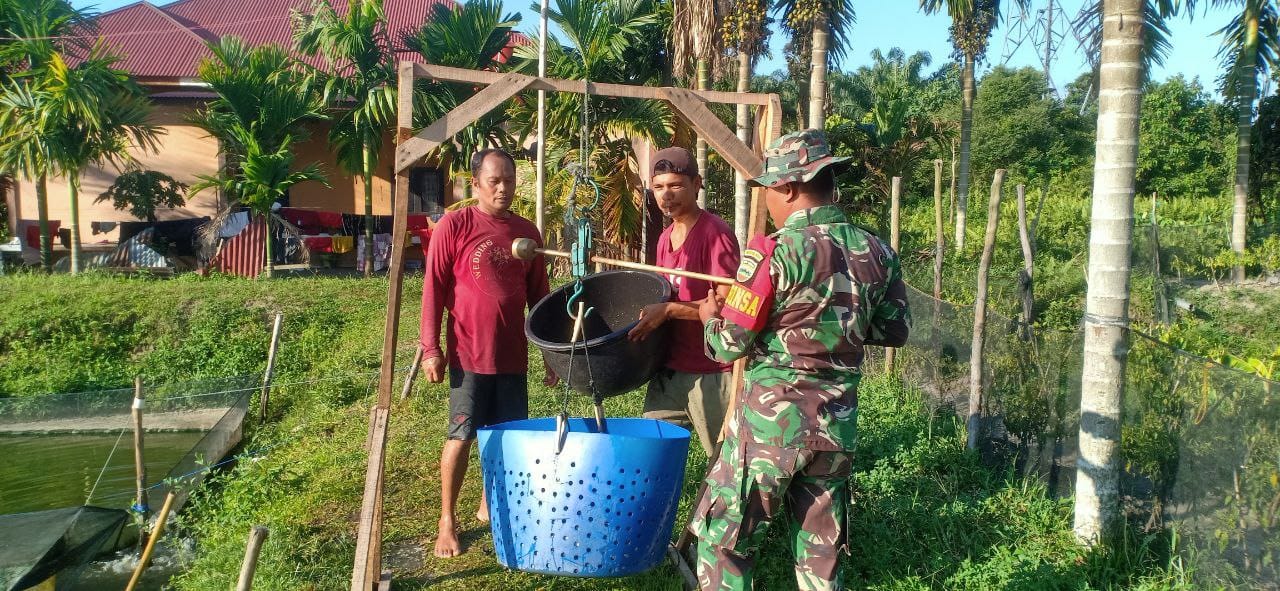 Babinsa Koramil 13/ Rokan IV Koto Dampingi Peternak Ikan Lele di Desa Benkolan Salak