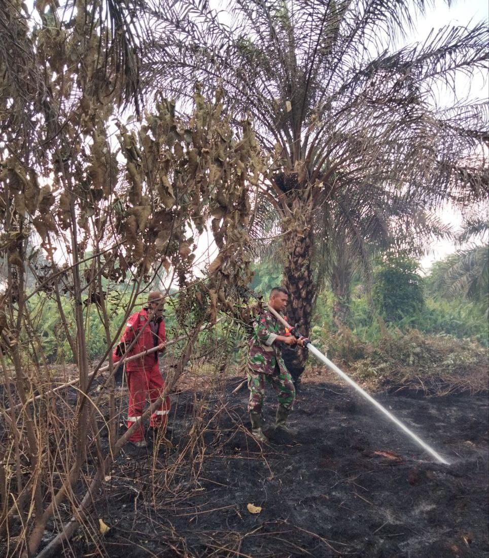 Karhutla di Rokan Hulu, Koptu Alesman Sekarang Kami masih Melakukan Upaya Pendinginan