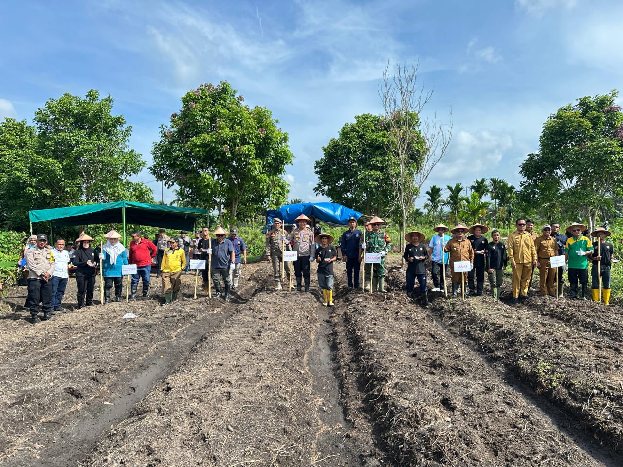 Wujudkan Ketahanan Pangan Nasional, Babinsa Koramil 06 Siak Hulu Tanam Jagung Bersama Warga