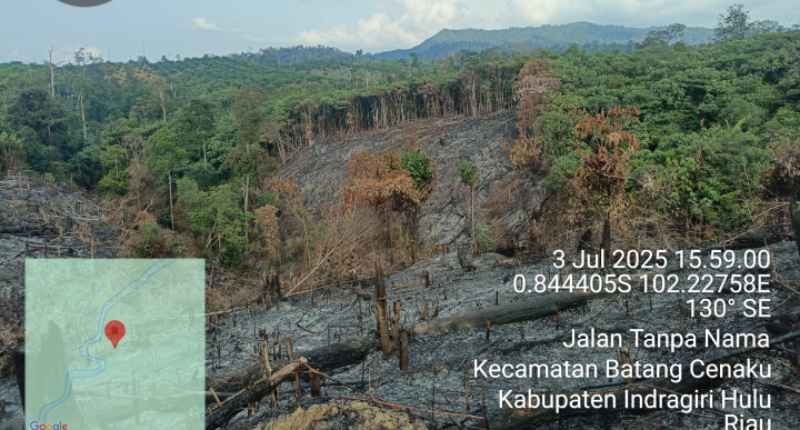Polisi Amankan Dugaan Pelaku Pembakaran Lahan di Indragiri Hulu