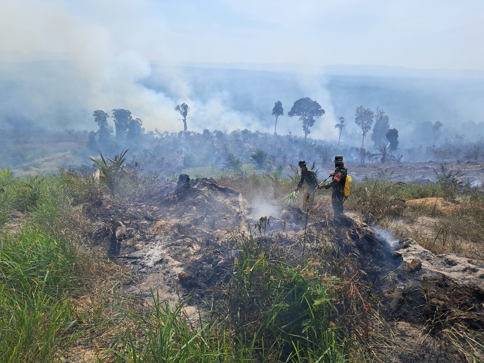 Sinergitas TNI, Polri Bersama Padamkan Karhutla di Kelurahan Rokan