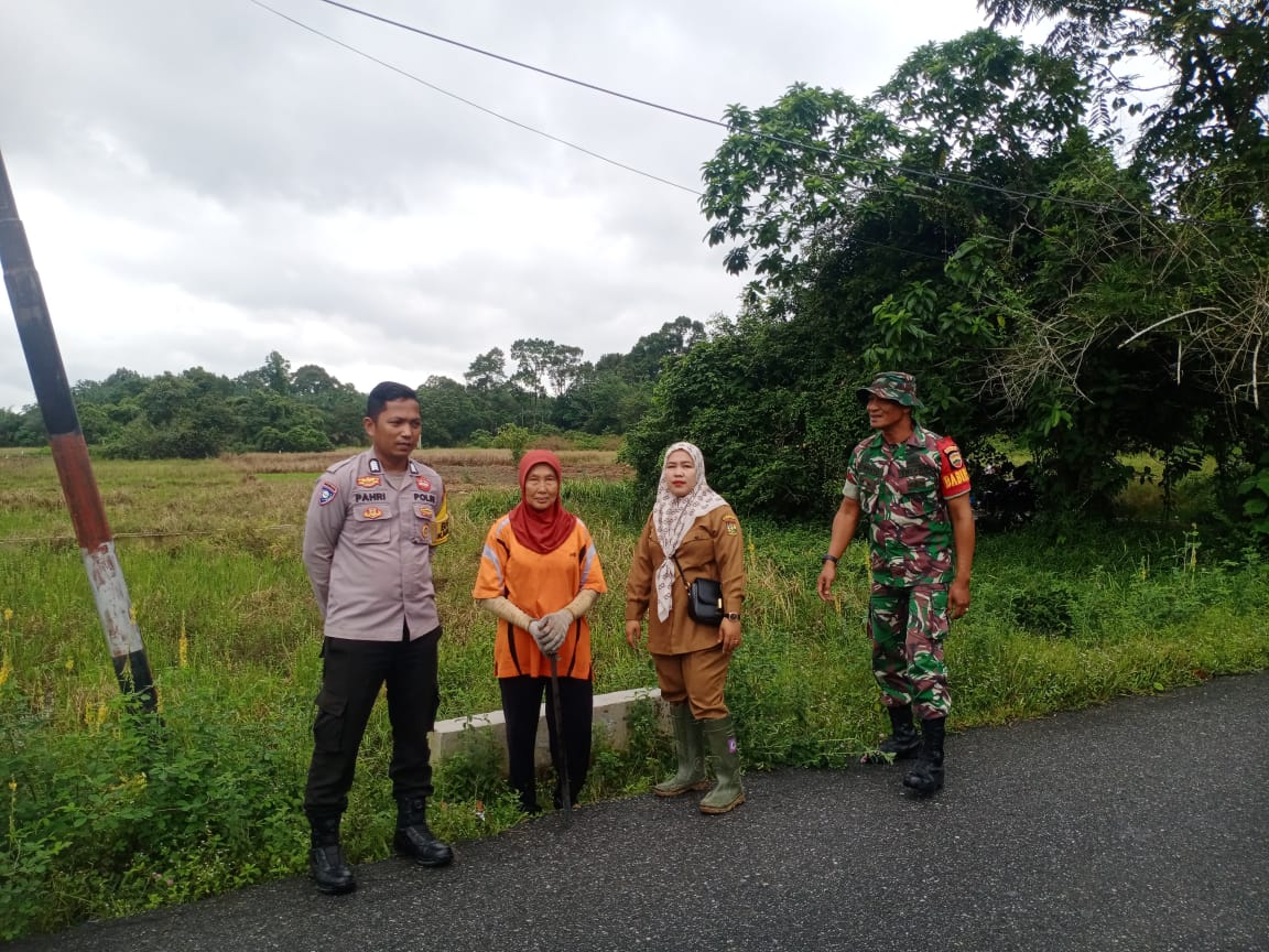 Dongkrak Hanpangan, Babinsa Koramil 07/Kampar Cek Lokasi Persawahan Tadah Hujan