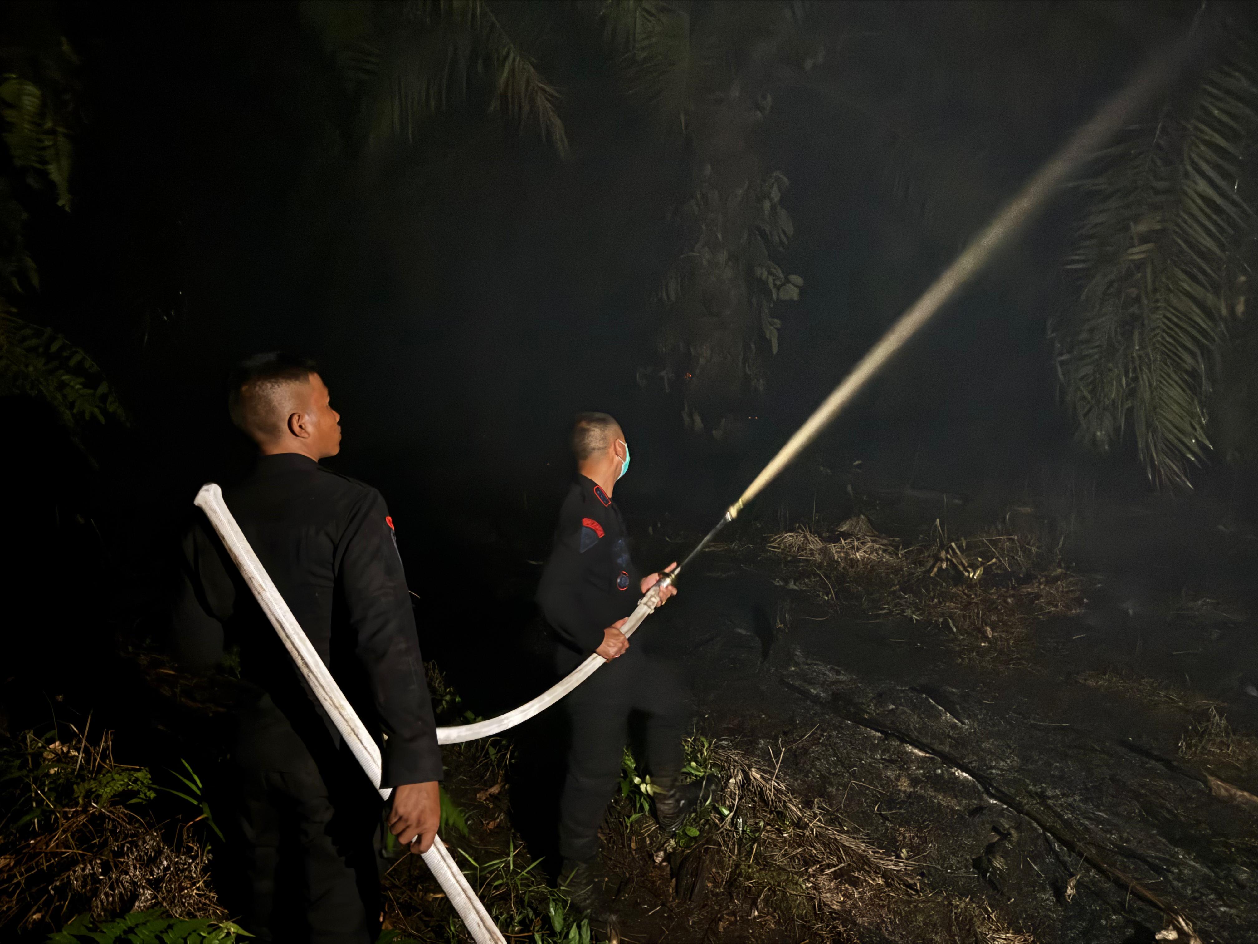 Dansat Brimob Riau bersama personelnya berjibaku padamkan api hingga malam hari