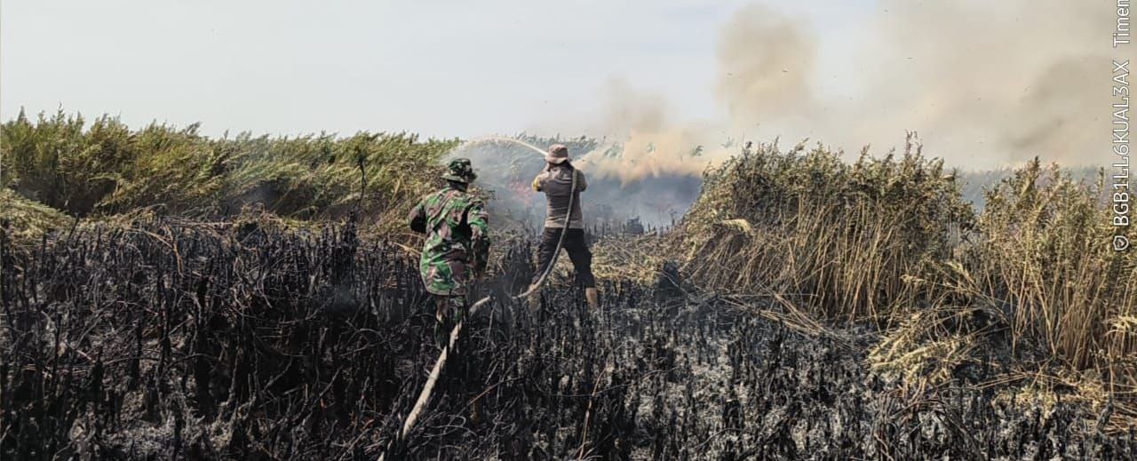 Karhutla, Peltu M. Sitepu Hingga Sampai saat Ini Kami Melakukan Pendinginan