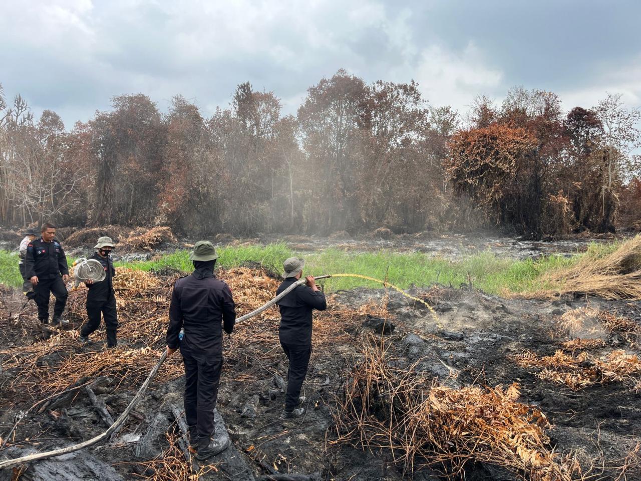 Dansat Brimob Polda Riau, Kesigapan dan Solidaritas Brimob Polda Riau Respon Cepat Padamkan Api