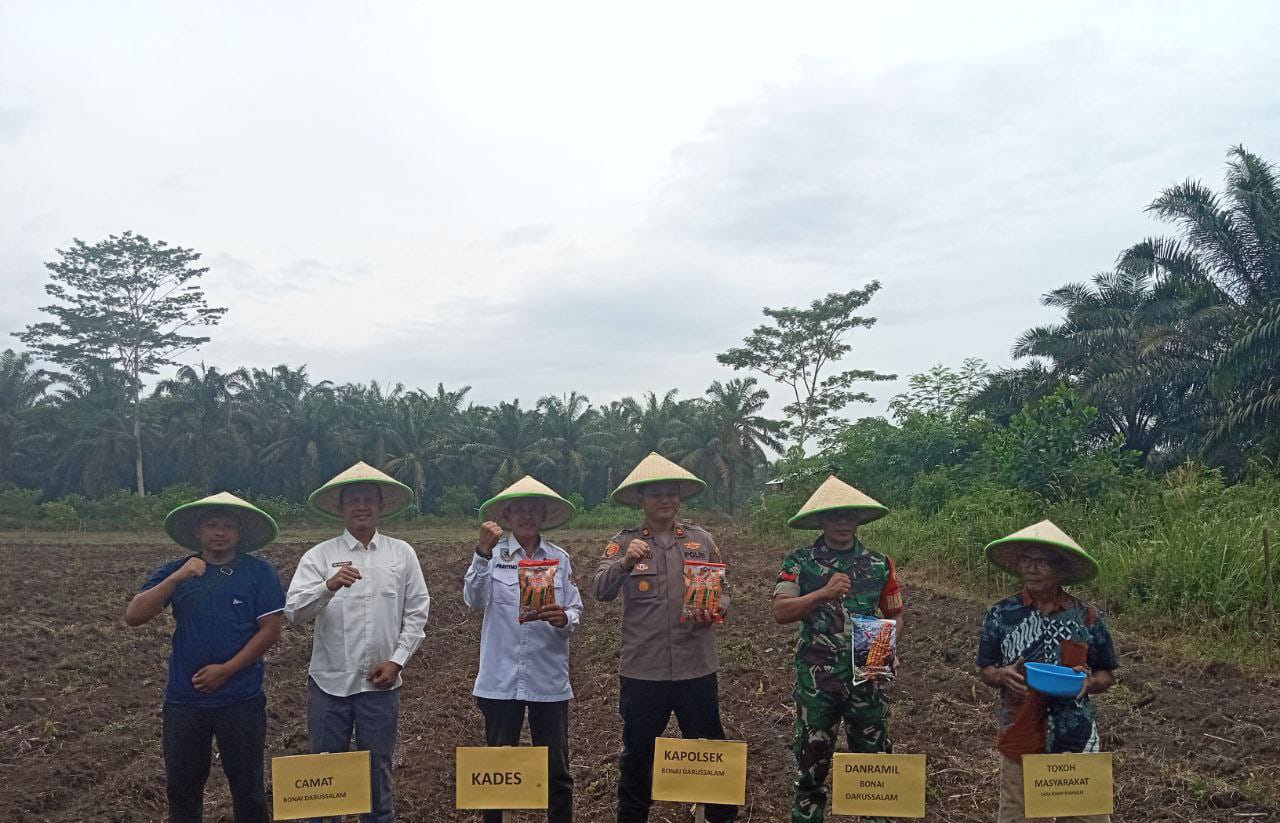 Babinsa Koramil 10 Kunto Darussalam Koptu Jantri Istani Hadiri Kegiatan Tanam Jagung