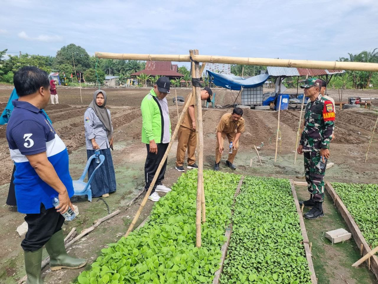 Dukung Pemerintah Meningkatkan Produksi Pangan, Babinsa Koramil 16/Tapung Bersama Warga Tanam Jagung