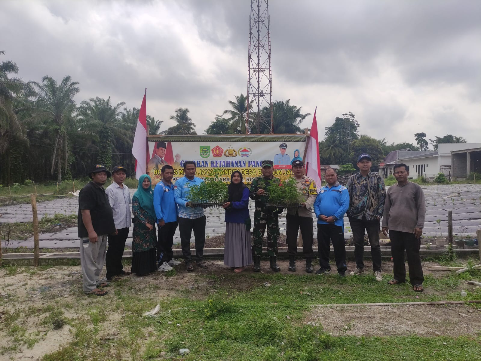 Babinsa Koramil 11/Tambusai Ikut Serta Dalam Penanaman Cabai Di Tambusai Utara