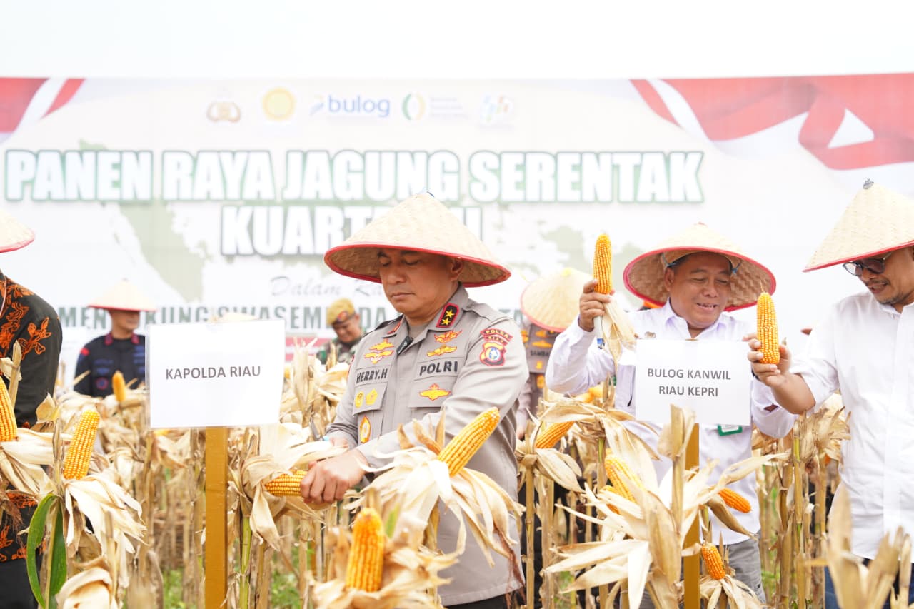 Polda Riau Gelar Panen Raya Jagung Kuartal III 2025, Dorong Ketahanan Pangan Nasional