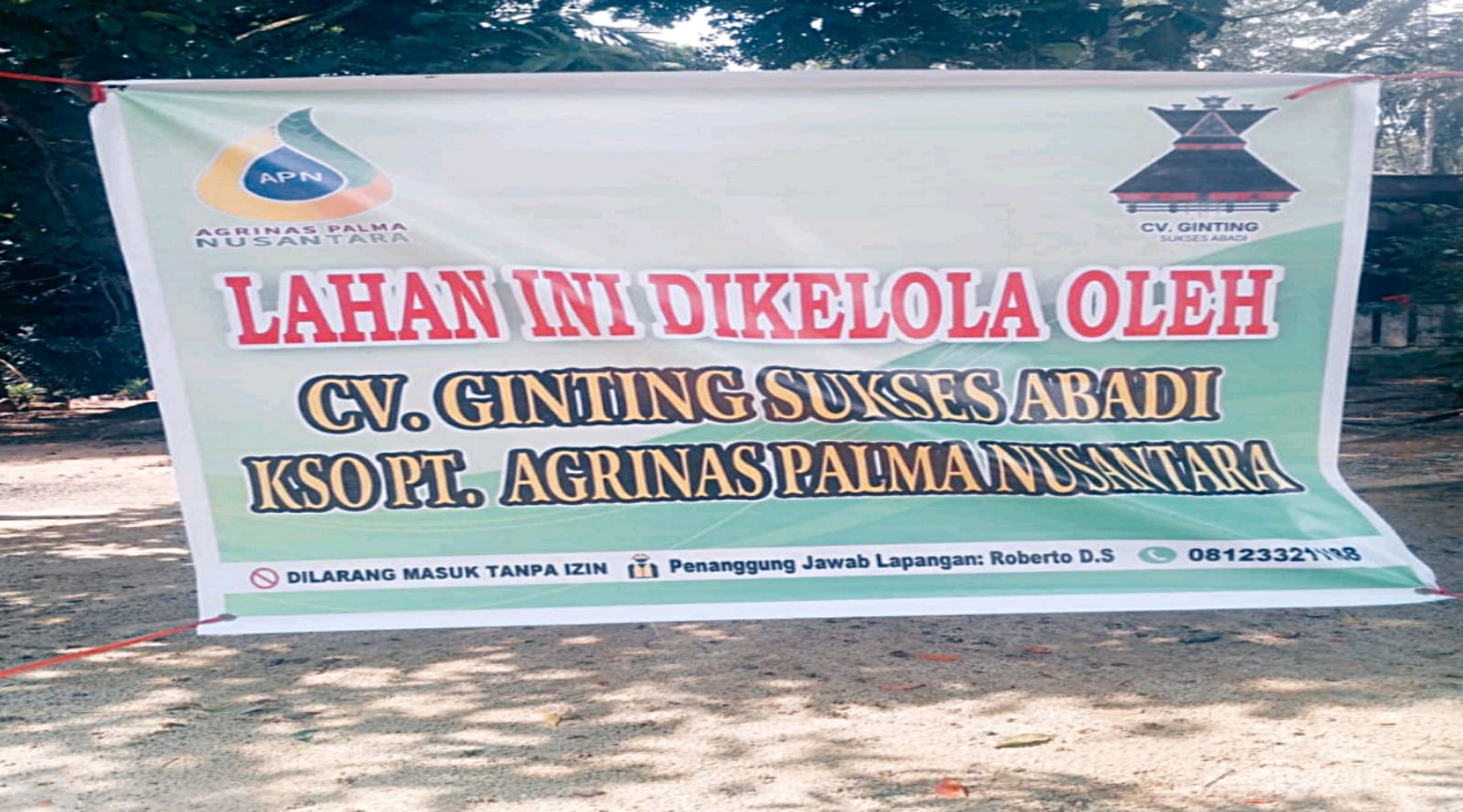 Warga Resah, Kelompok Mengatasnamakan KSO PT Agrinas Palma Nusantara Panen Sawit Warga Tanpa Izin