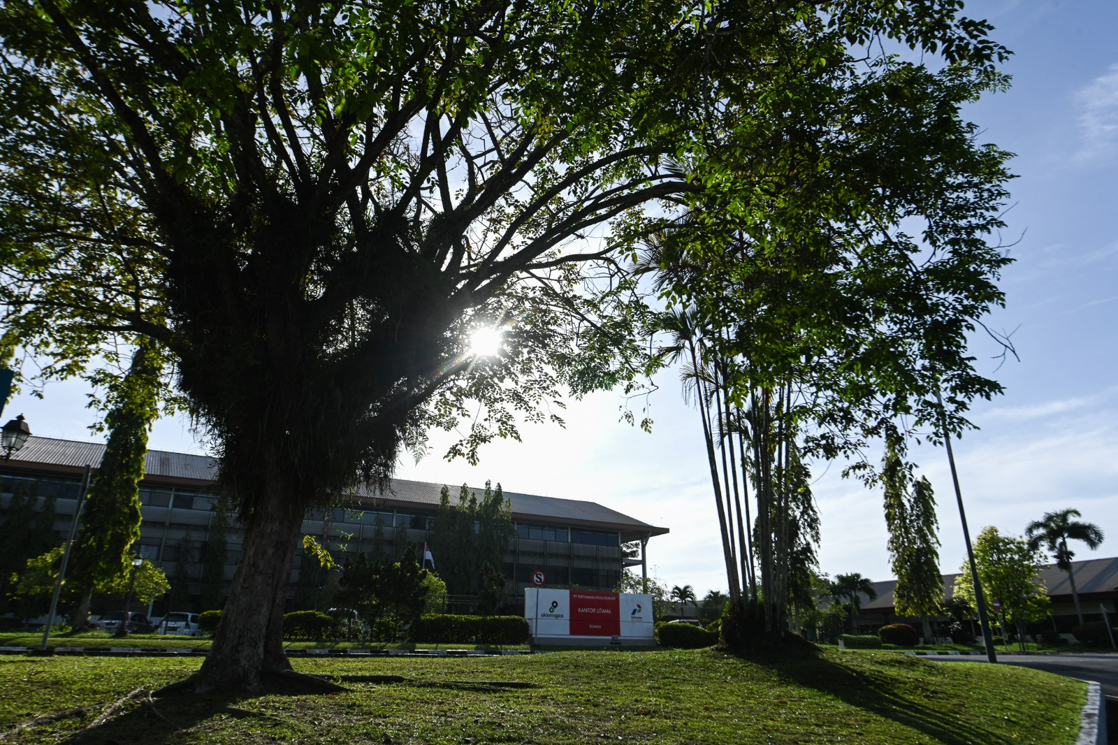 Asrinya Hutan Rumbai PHR, Menjadi Simbol Warisan Alam Yang Harmoni