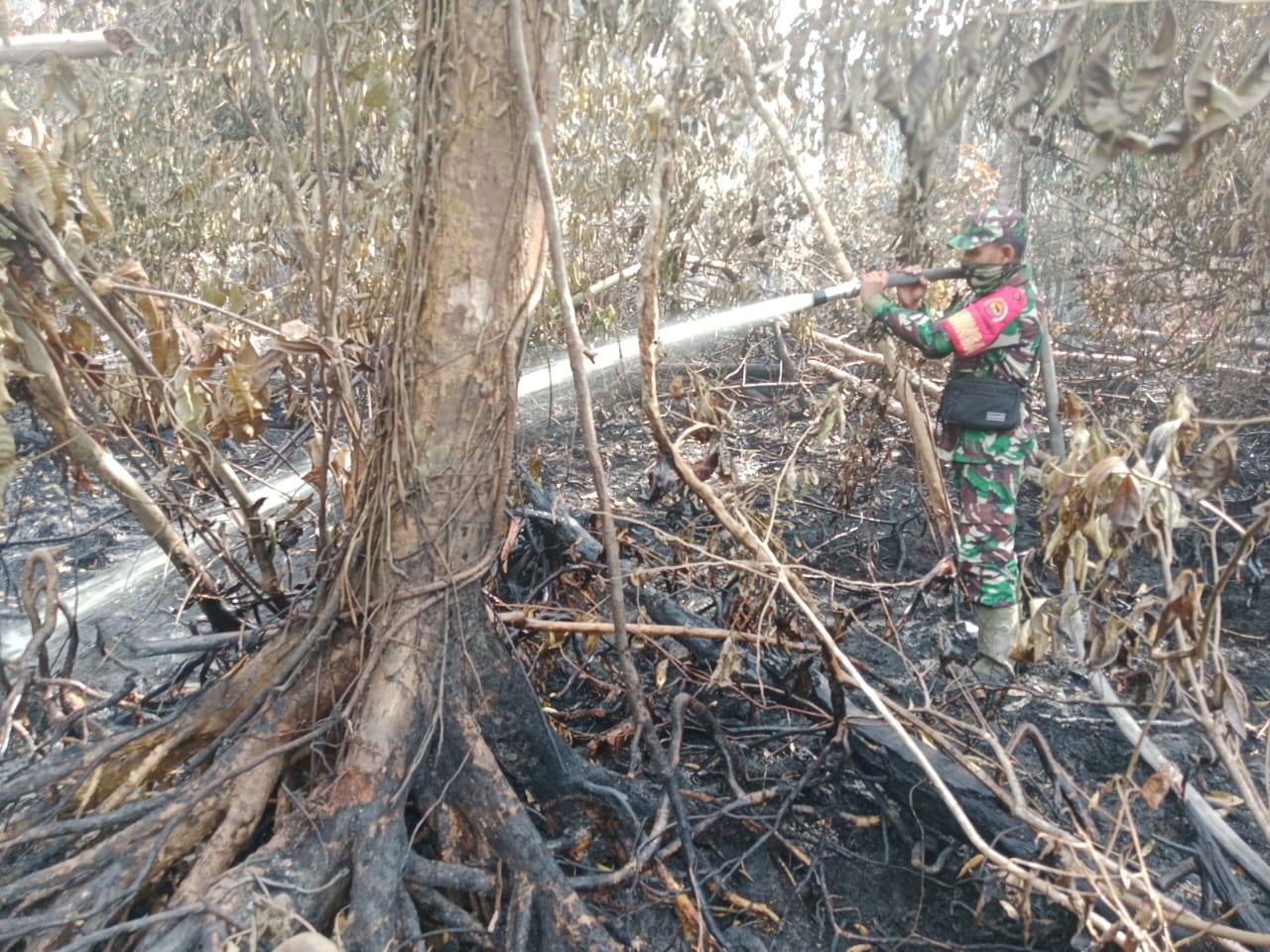 Koramil 03/Bunut Terjunkan Personel Bantu Pemadaman Karhutla di Kuala Tolam
