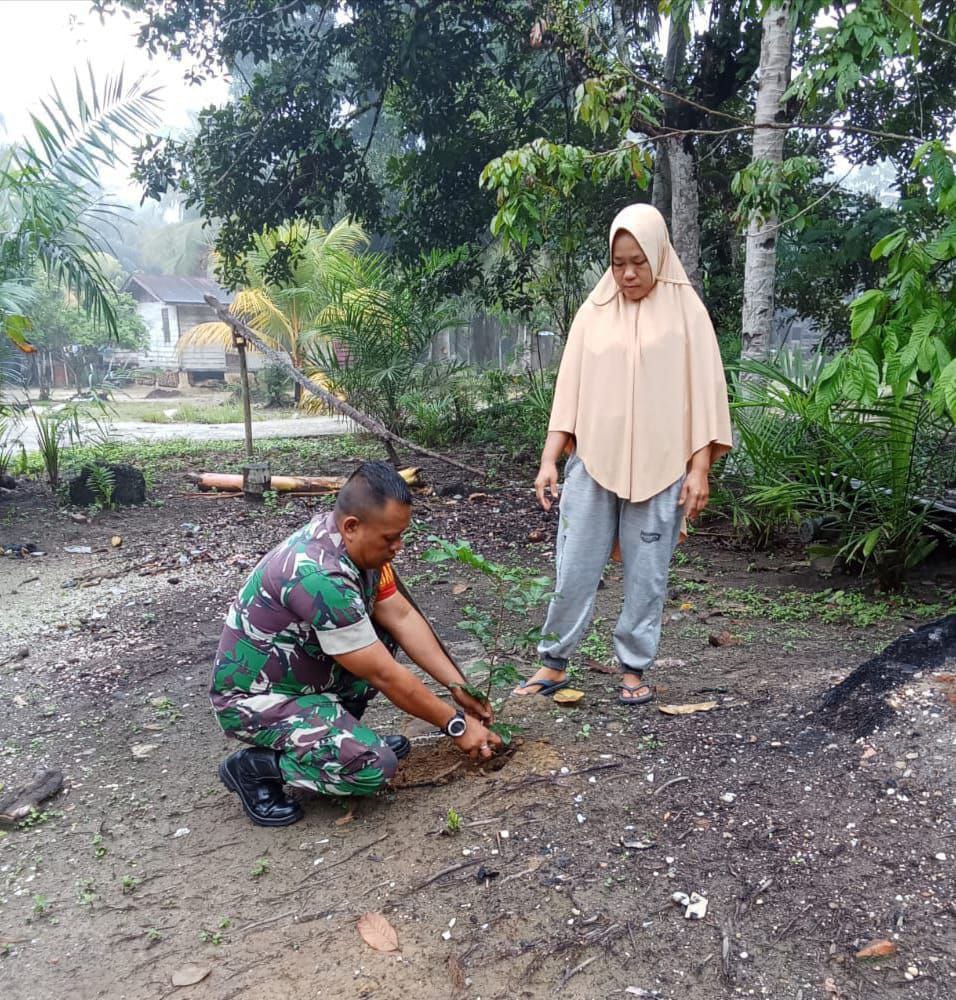Mendukung Program Pemerintah, Babinsa Koramil 16/Tapung Bersama Warga Tanam Pohon Penghijauan
